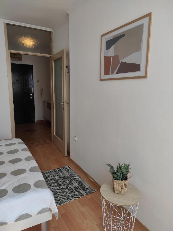 Sunny Apartment In Rijeka Luaran gambar